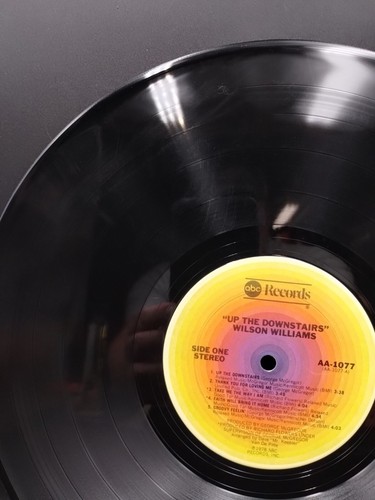 Wilson Williams Up The Downstairs LP Vinyl - 1978, US, ABC Records AA 1077 Promo - Picture 8 of 12