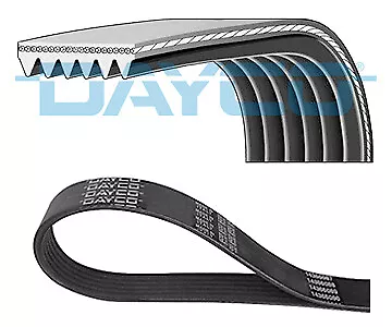 Dayco 6PK1600 V-Ribbed Belts - Picture 1 of 1