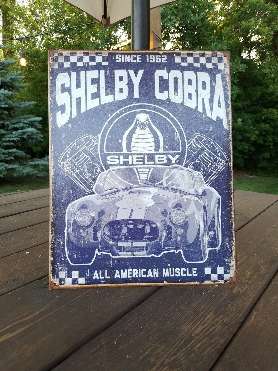 Cobra Shelby 0 Garage Hot Wheels Jay Ford Silver — 06⁄20 1 - for