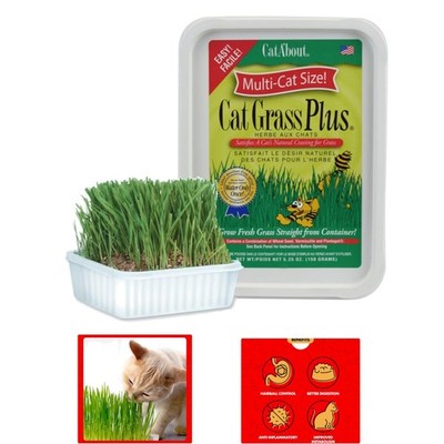 Grow Happy Cats: Cat A'bout Grass Kit   5.25 oz for Wellness & Hairball Control