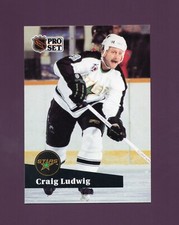 1991 Pro Set Craig Ludwig #411 - Minnesota North Stars