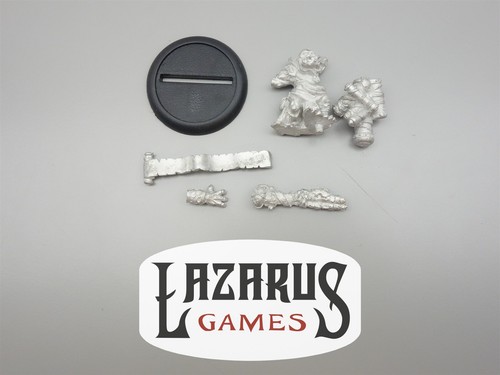 Privateer Press Hordes: Trollbloods - Hoarluk Doomslayer, Shaman of the Gnarls - 第 1/4 張圖片
