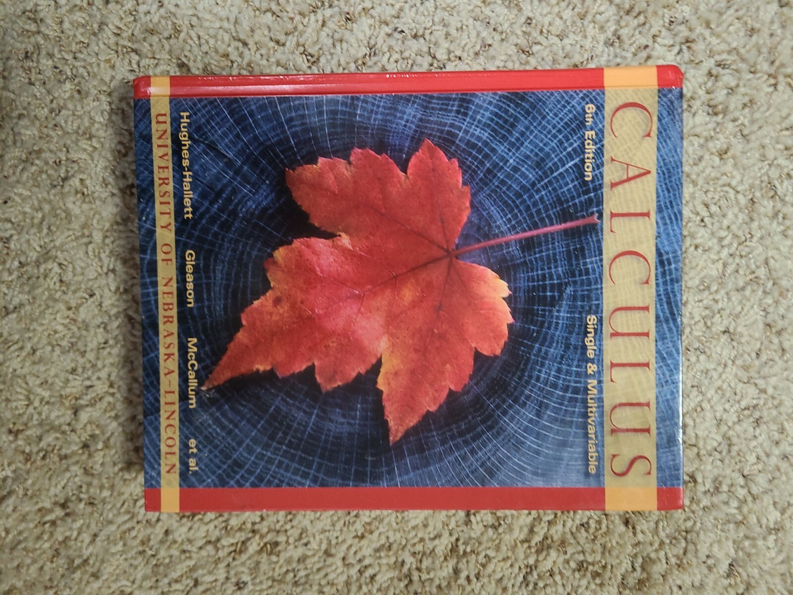 Calculus Single & Multivariable Hughes-hallet Gleason McCallum 6th