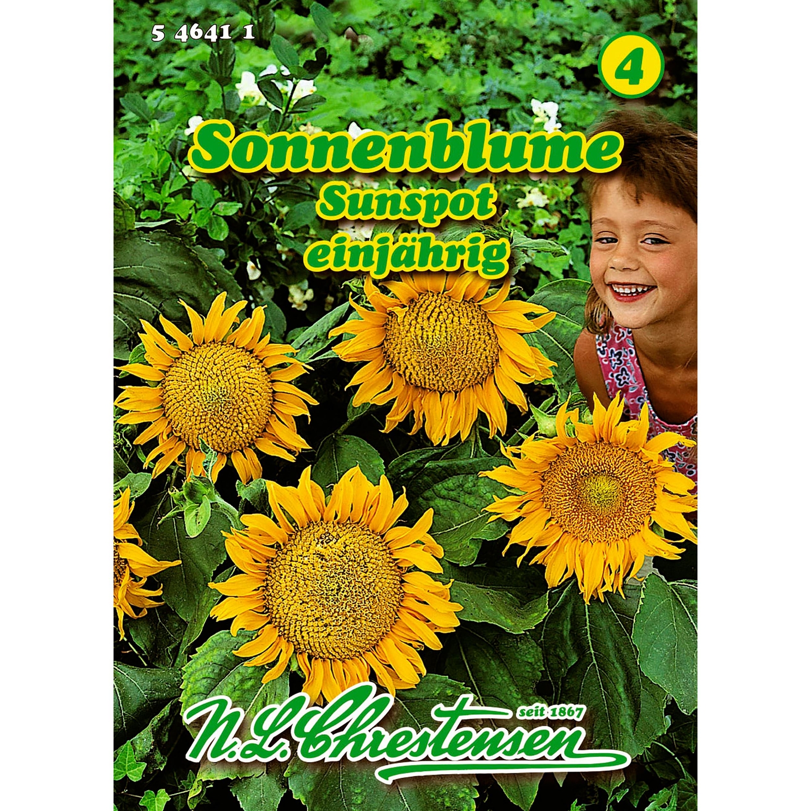 Sonnenblumen Saatgut Samen Blumensamen Bienenpflanze verschiedene