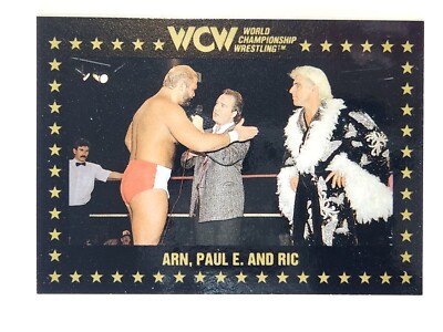 1991 WCW Championship Marketing Wrestling #48 Arn, Paul E. and Ric Flair