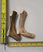 Deux bois de cerf à mâcher pour chien 6 à 7 pouces de long