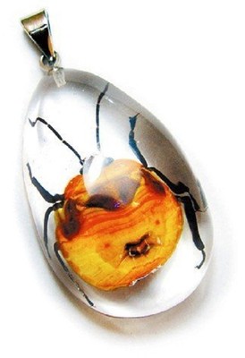 REALBUG Shield Bug Necklace, Clear, Small