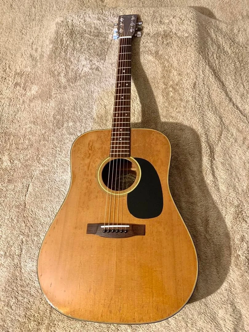 Aria 6 String Vintage Acoustic Guitars for sale | eBay
