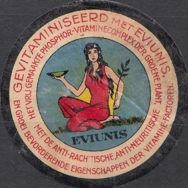 Cenicientas Países Bajos #88 - Eviunis Vitaminas - Imagen 1 de 1