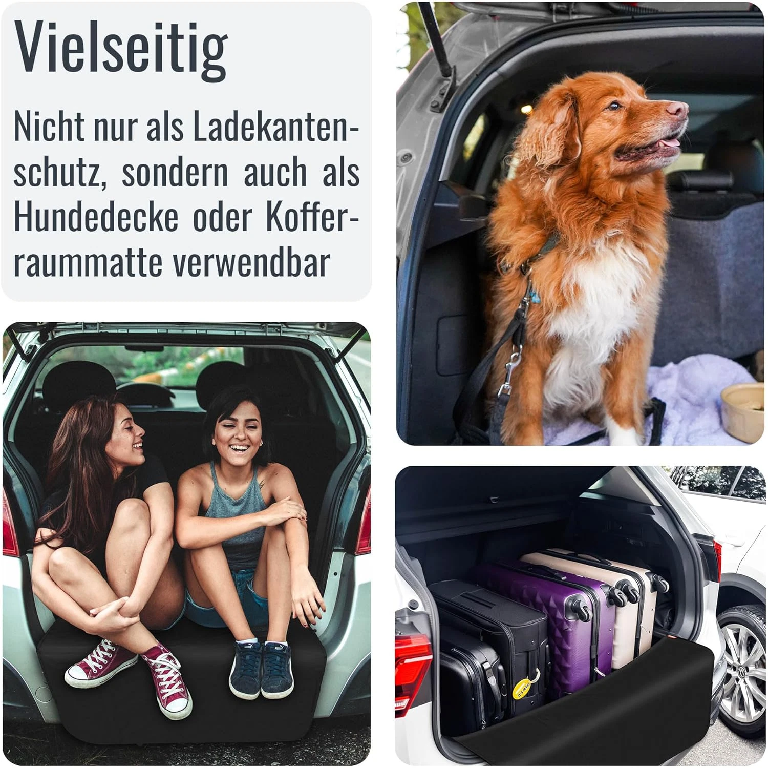 Bild 5 von 12