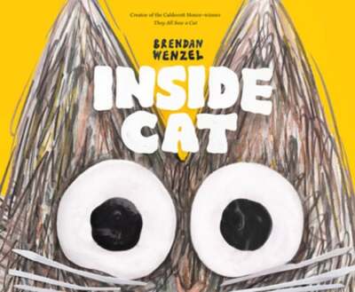 Inside Cat by Brendan Wenzel: Used