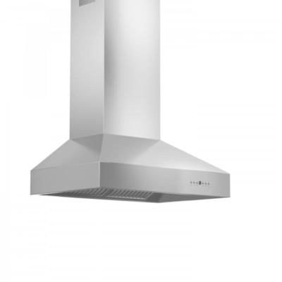 ZLINE 54'' PRO BBQ INDOOR OUTDOOR Wall RANGE HOOD 304 STAINLESS STEEL 697-304-54