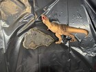 Prime 1 Studio Jurassic Park 25th Anniversary Tyrannosaurus Rex 1:38 Figure LE — photo 4