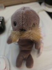 Ty Beanie Baby Jolly Retired Original 1996 Walrus 3 Years 3-4 8-11