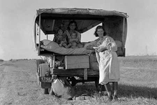 Searching for Work in the Cotton Fields Dorothea Lange Poster Print