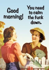 Good Morning! You Need To Calm The Fu”” Down, On A 2”x3” Metal Fridge  Magnet