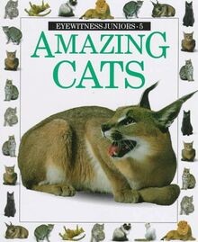 Amazing Cats (Eyewitness Junior) von Dorling Kinder... | Buch | Zustand sehr gut