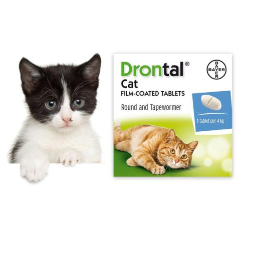 drontal plus ebay