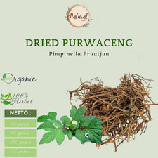 Dried Purwaceng Dry Pimpinella Pruatjan Premium Natural Organic Herbs Spices