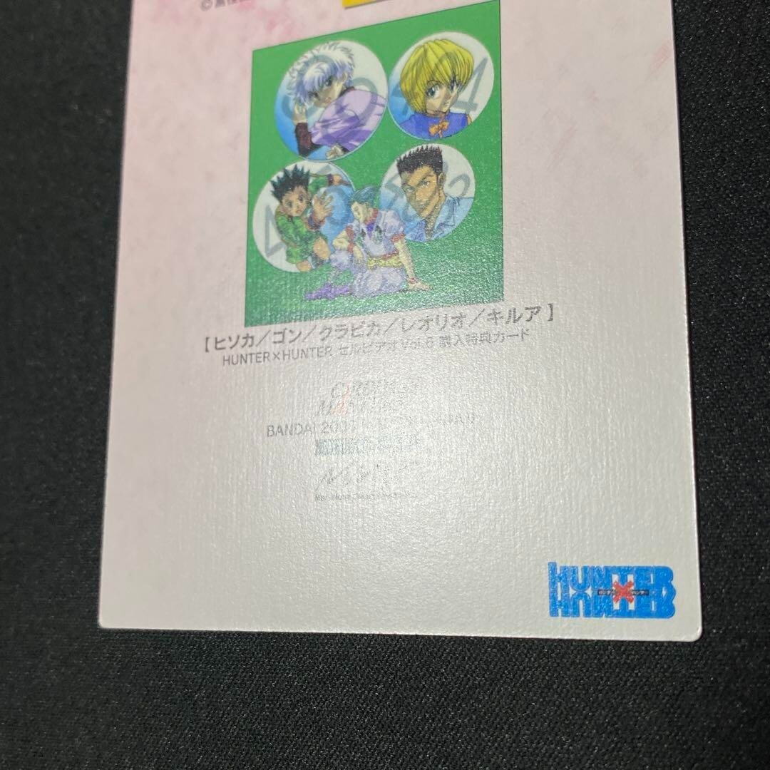 HUNTER×HUNTER Carddass Masters VD6 Character Goods collection