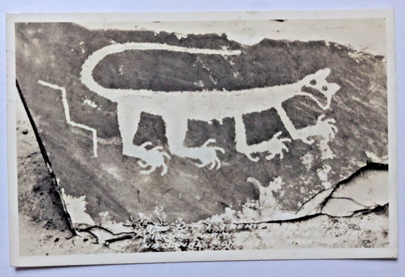 Cat Petroglyph Pictograph Petrified Forest National Monument Arizona ...