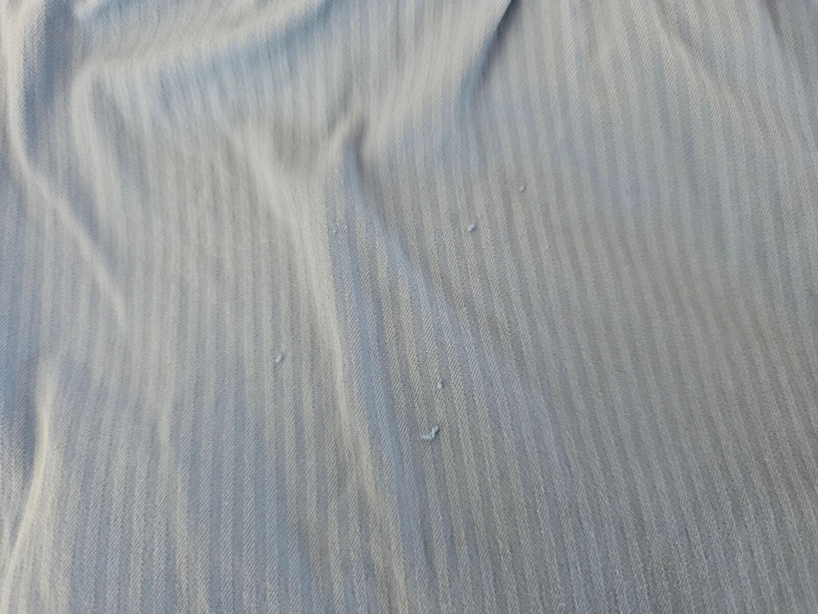 Picture 10 of 10