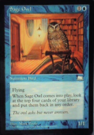 Sage Owl - Weatherlight: #52, Magic: The Gathering Nm R124