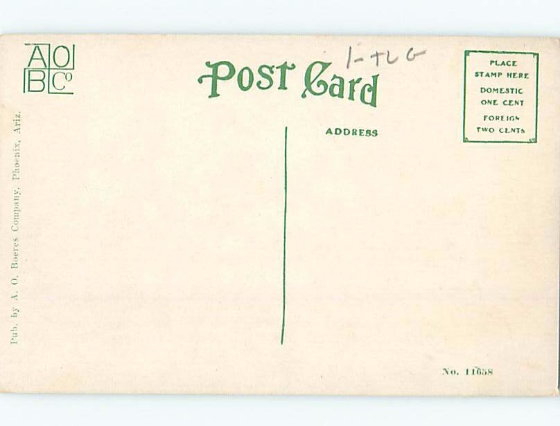 DividedBack LAKE SCENE Lake Roosevelt Near Mesa & Phoenix Arizona AZ