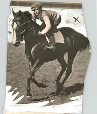 HORSE RACING Jockey FITWEINER On Horse c.1930s Press Photo