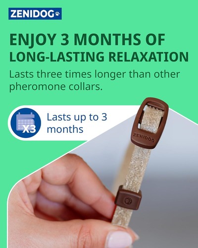 Collar for Small Dogs | Calming Pheromones | Reduces Stress & Anxiety, 3 Months - Picture 3 of 6