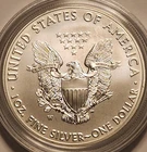 2018- W Burnished American Silver Eagle 1 oz .999 Fine Silver BU in Capsule