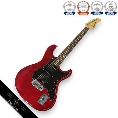 Ferdandes ARSULT E-Gitarre Erle Korpus Ahorn Hals Palisander Griffbrett 22F