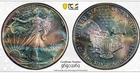 1990 Uncirculated American Silver Eagle $1 PCGS MS67 Monster Toned