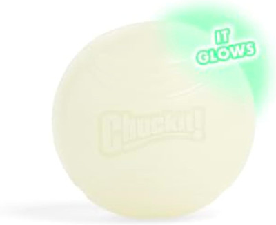 Chuckit! Glow in the Dark Bouncy Ball for Dogs, Chuckit Dog Toy, Max Glow Balls