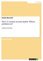 The U.S. Current Account Deficit - Whose Problem Is It? A Short Overview Buch