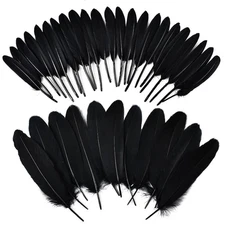 270pcs Black Goose Feathers for Crafts 2 Styles 47 inch Bulk Natural Feathers fo