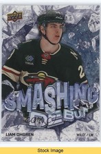 2024-25 Upper Deck UD Rookie Debut Smashing Debut Liam Ohgren #SD-3 READ 5b7