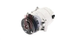 AKS DASIS Kompressor Klima Klimaanlage Klimakompressor 851562N