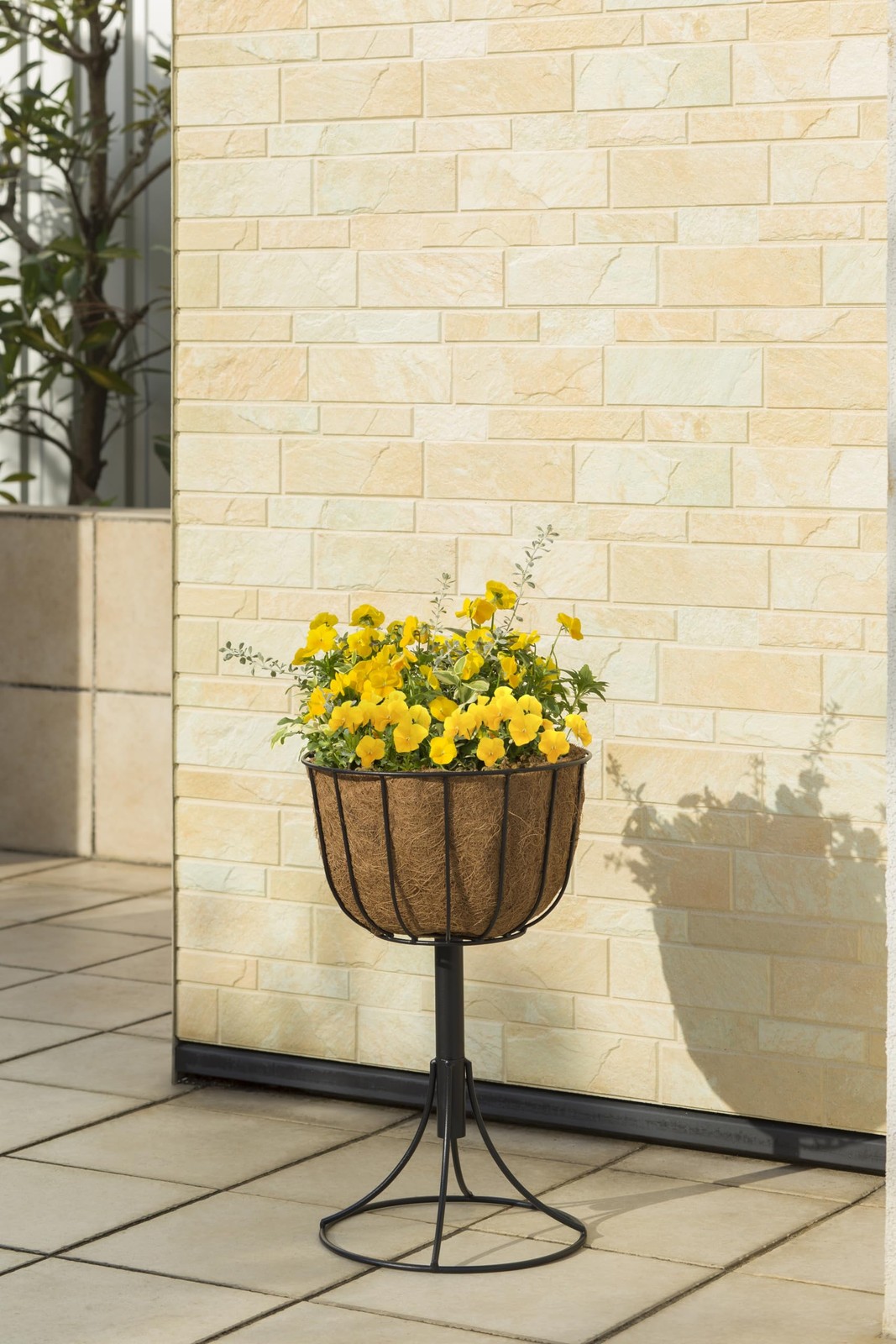 СЕЯЛКА VEGTRUG AQUA TOWER С НИЗКИМ ПОДЪЕМОМ И РЕЗЕРВУАРОМ ДЛЯ ВОДЫ PQA-03USAQ - ЧЕРНЫЙ