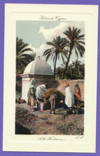 Oasis and palm trees in North Africa TYPES VI...