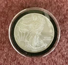 2009 American Silver Eagle 1oz .999 silver encased (inv. 2)