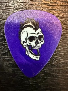 AVENGED SEVENFOLD #4 / 2025 / TOUR GUITAR PICK