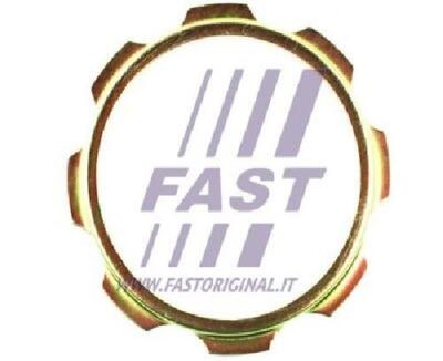 Original FAST Unterlegplatte Antriebswellenflansch FT26040 für Iveco