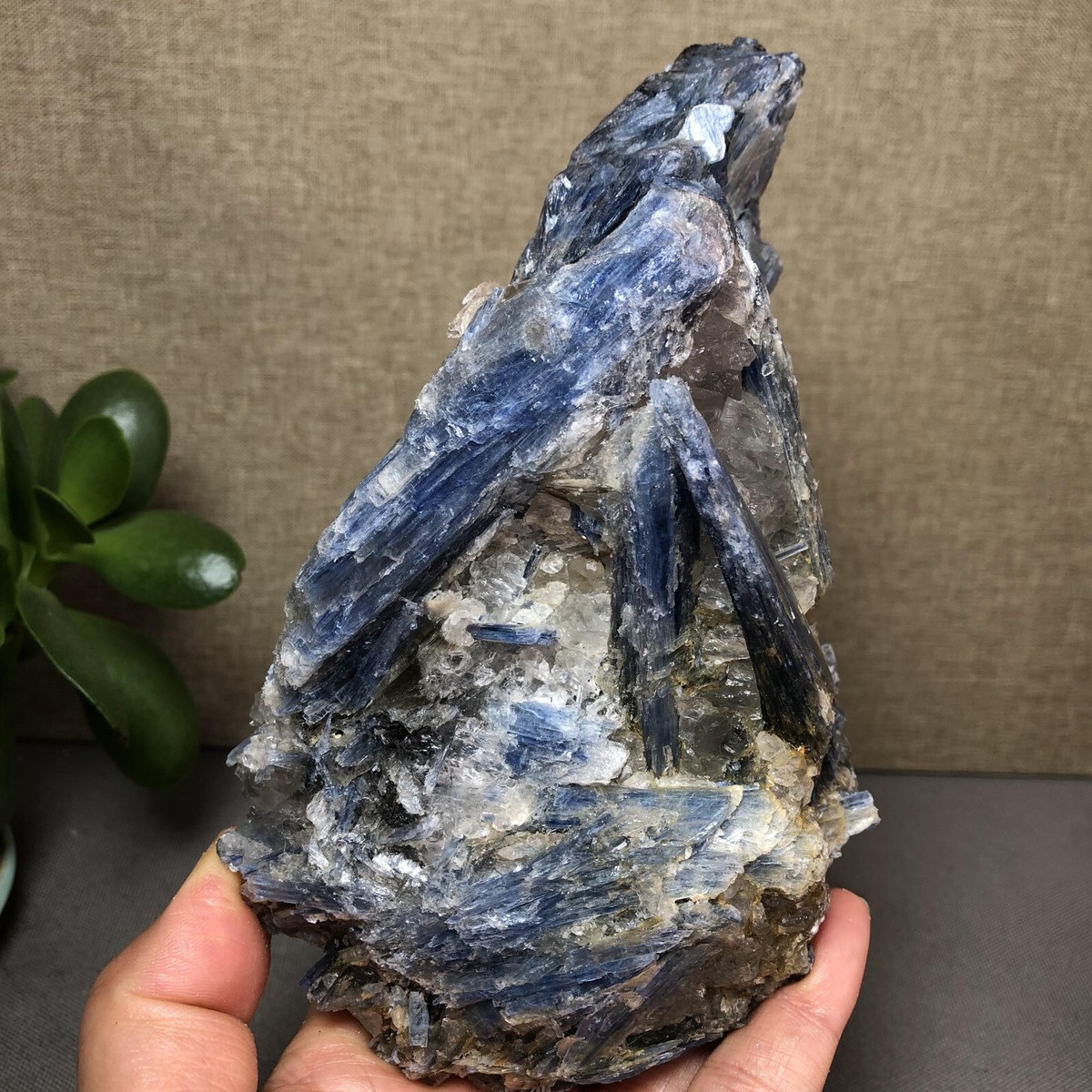 Natural Kyanite Crystal gemstone rough original Mineral Specimen