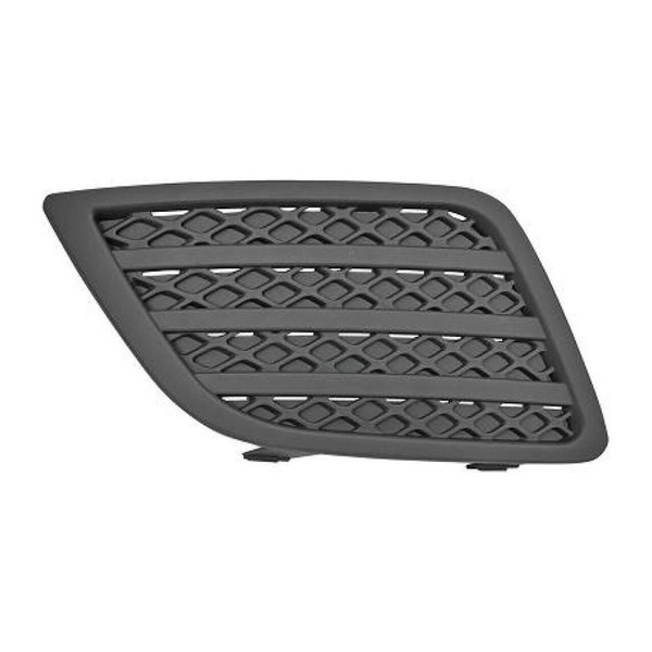 Diederichs LüFtungsgitter FrontstoßFäNger FüR Ford Fiesta V Ab Bj. 09.05 Links-image