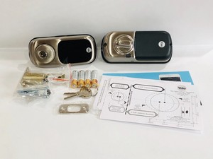 lock that works with alexa