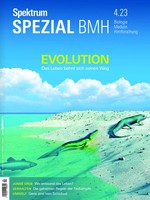 Spektrum Der Wissenschaft | Spektrum Spezial BMH - Evolution | Taschenbuch