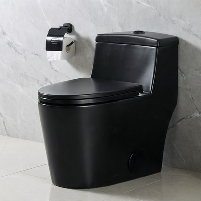 HOROW One Piece Elongated Toilet 0.8 / 1.28 GPF Tornado Dual Flush for Bathroom