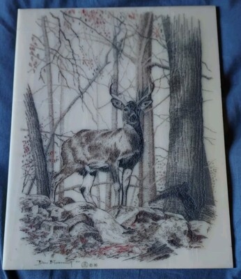  Don Northcutt Signed Artist Proof, Tennessee Artist, Deer Forest 1986