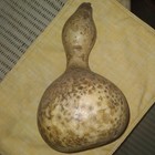 Picture 3 of 5